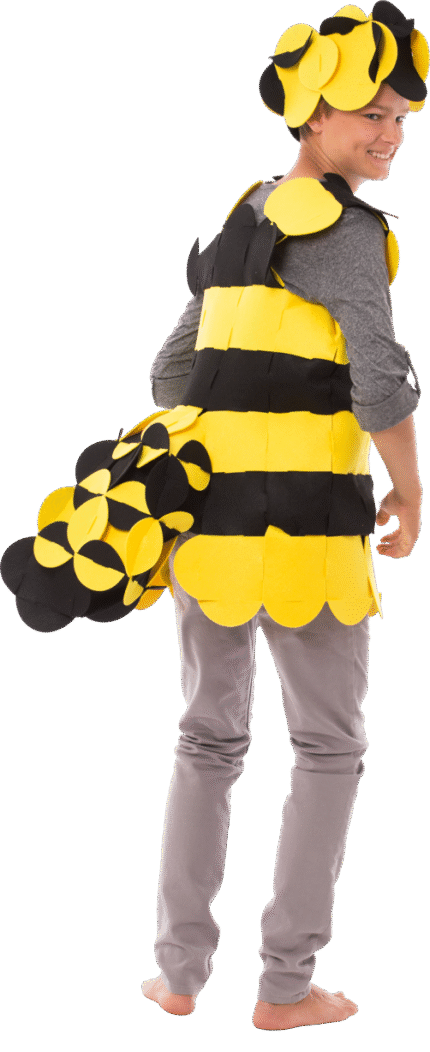 Costume Puzzle - Blake the Busy Bee
